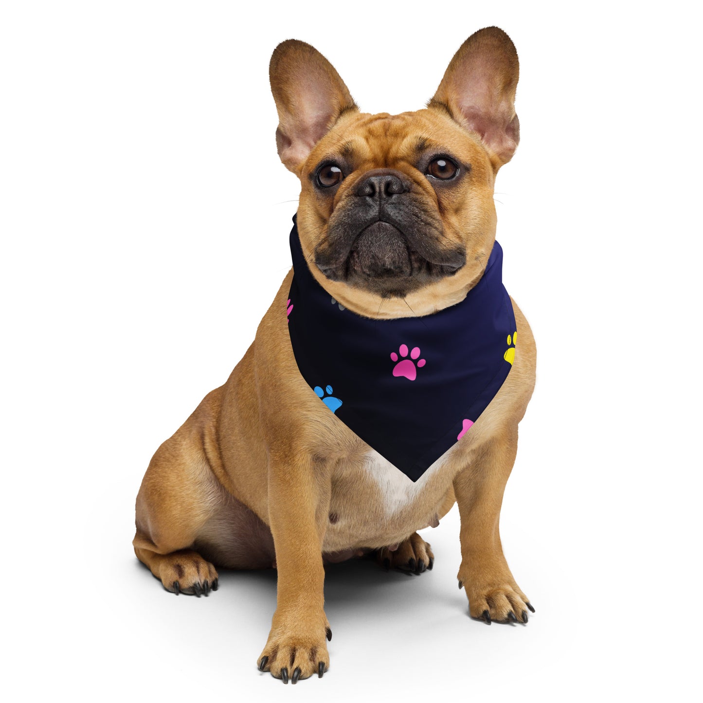 Pet Background, CALMNESS DESIGNS, Creative Designer's, All-over print bandana