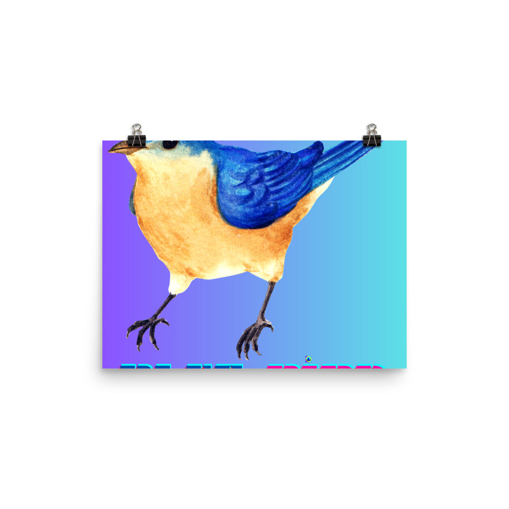 Calmness Designs, Blue Bird, Poster