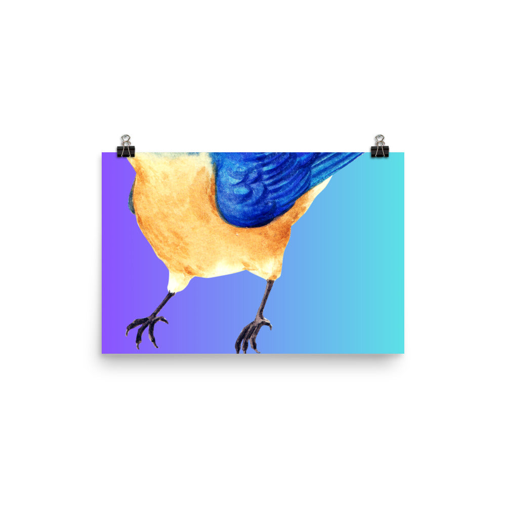 Calmness Designs, Blue Bird, Poster