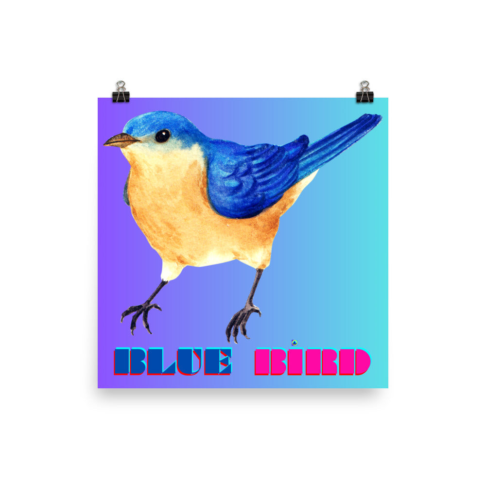 Calmness Designs, Blue Bird, Poster