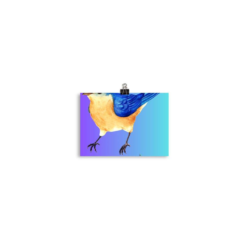 Calmness Designs, Blue Bird, Poster