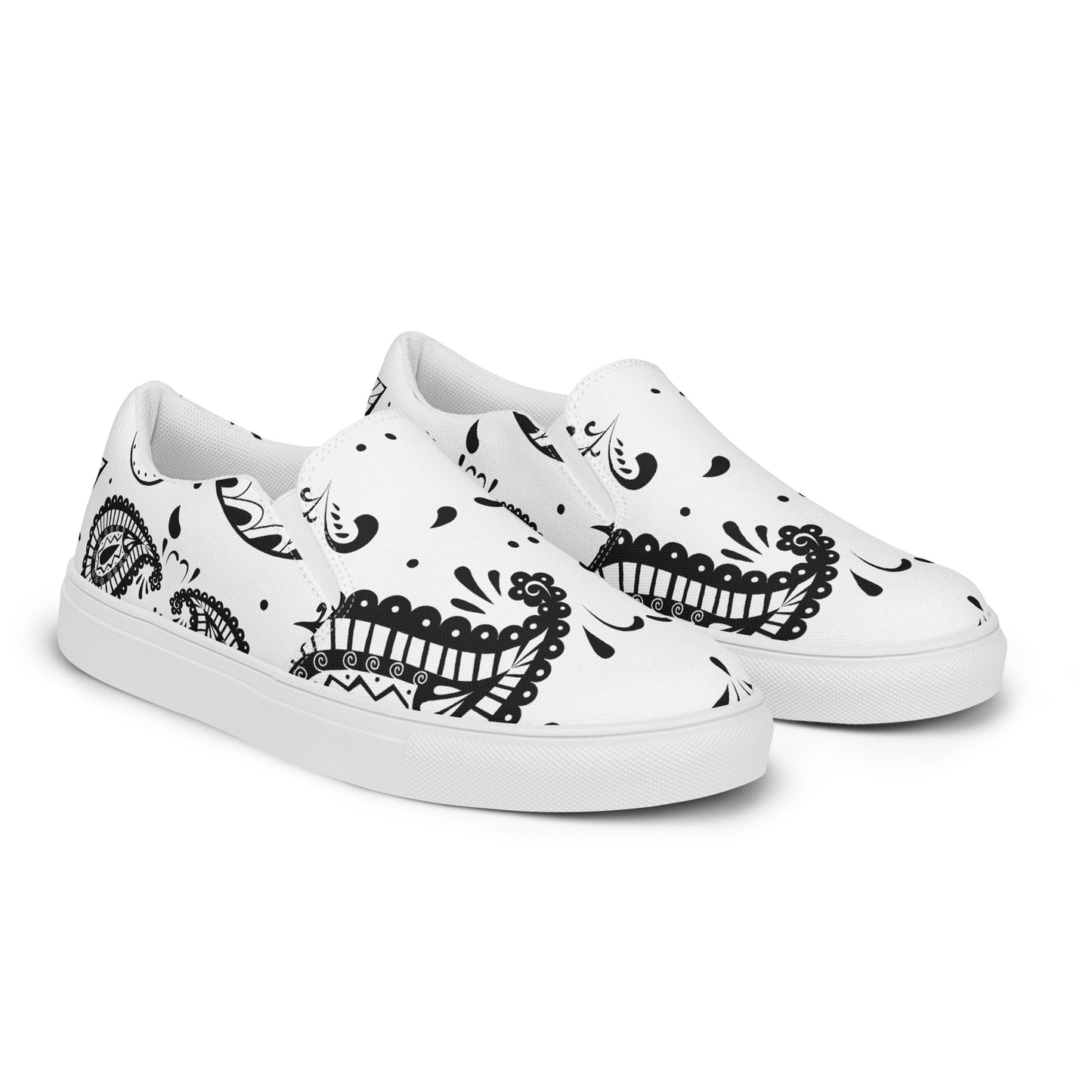 Paisley Pattern, Ornament Line, Men’s slip-on canvas shoes