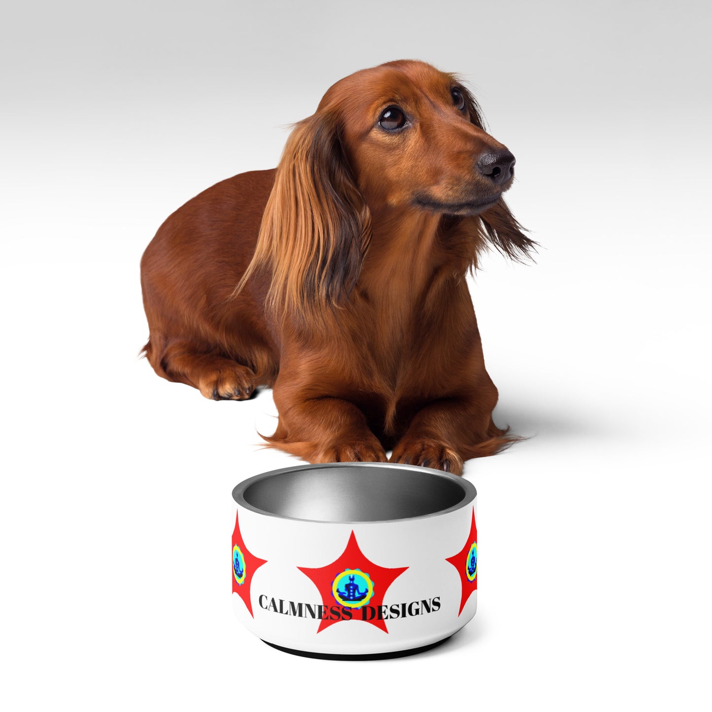 STAR-Logo CALMNESS DESIGNS, Creative Designs, Pet bowl