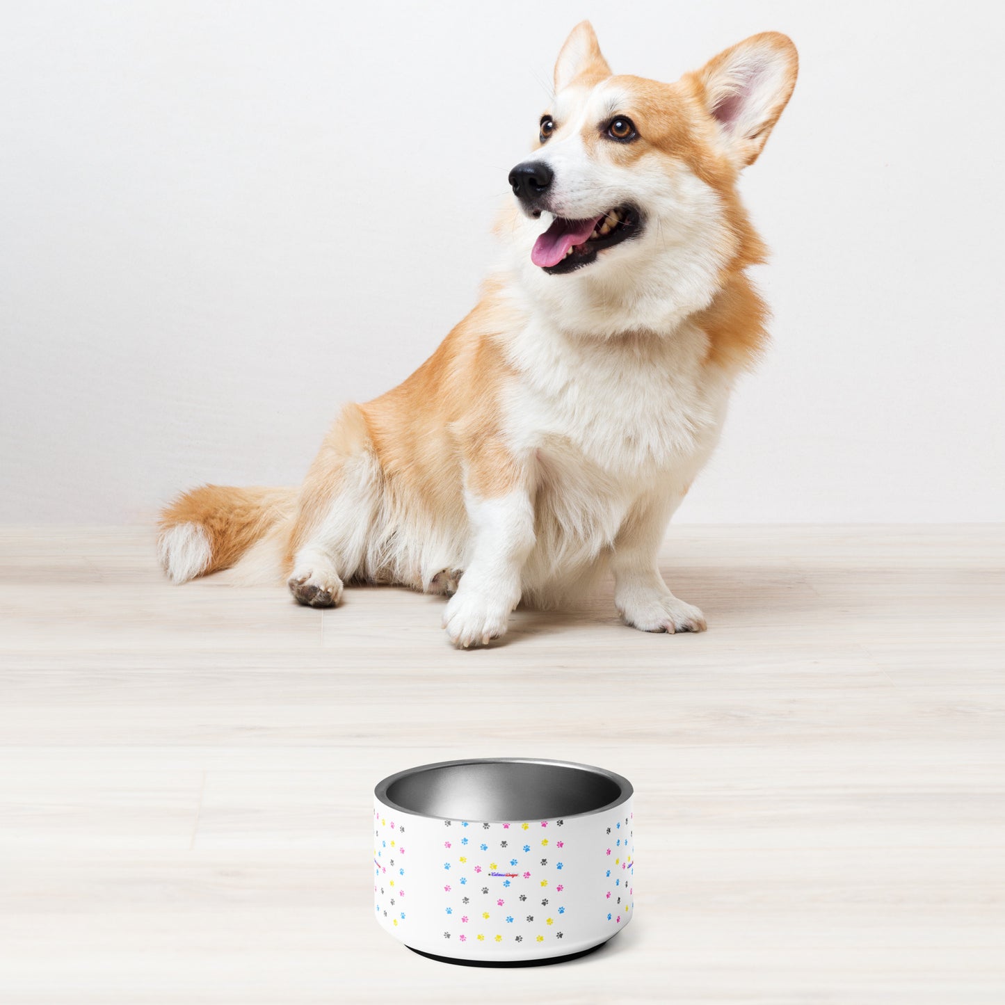 Pet Background, CALMNESS DESIGNS, Creative Designer's, Pet bowl