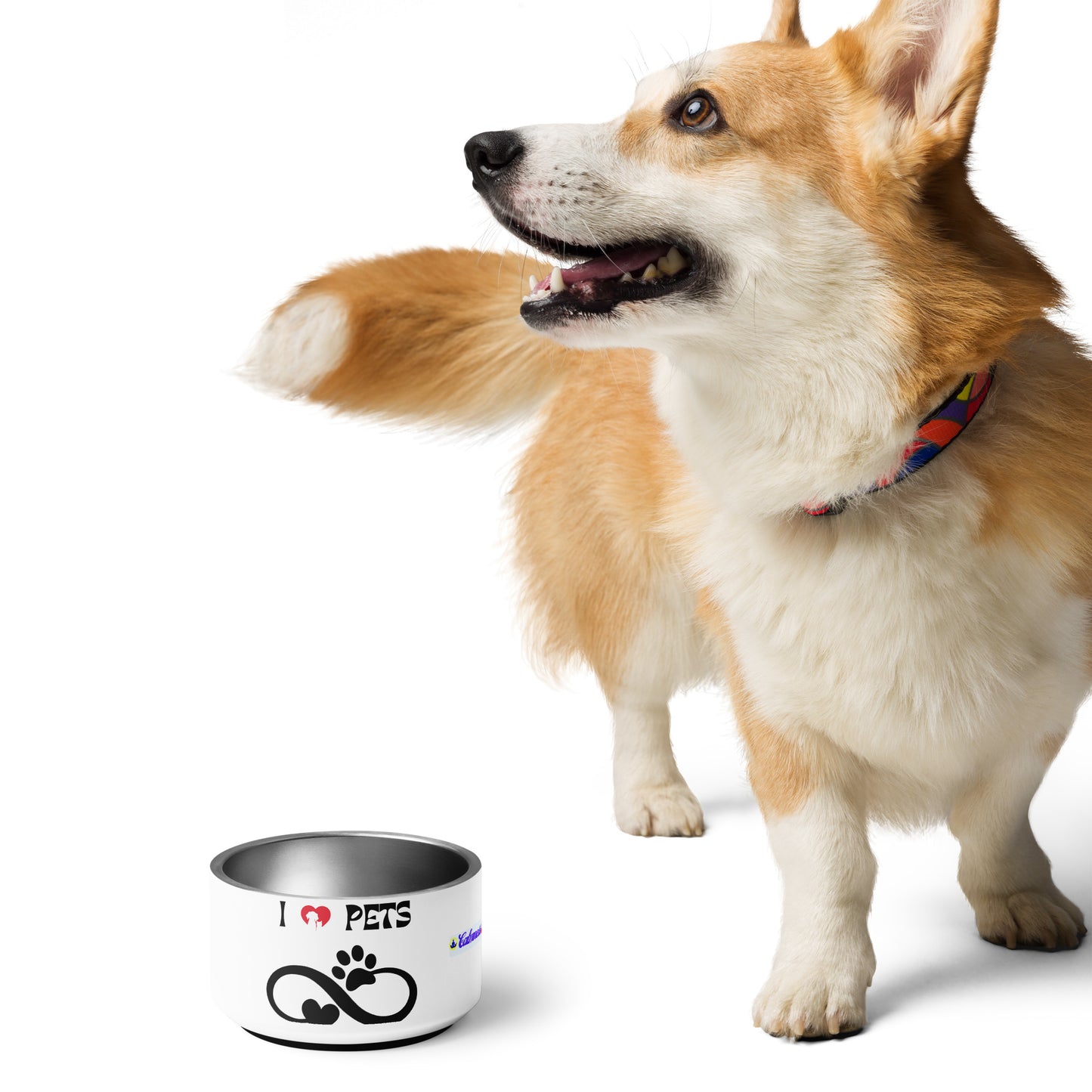 Heart and Pets, I LOVE PETS, CALMNESS DESIGNS, Creative Designer's, Pet bowl