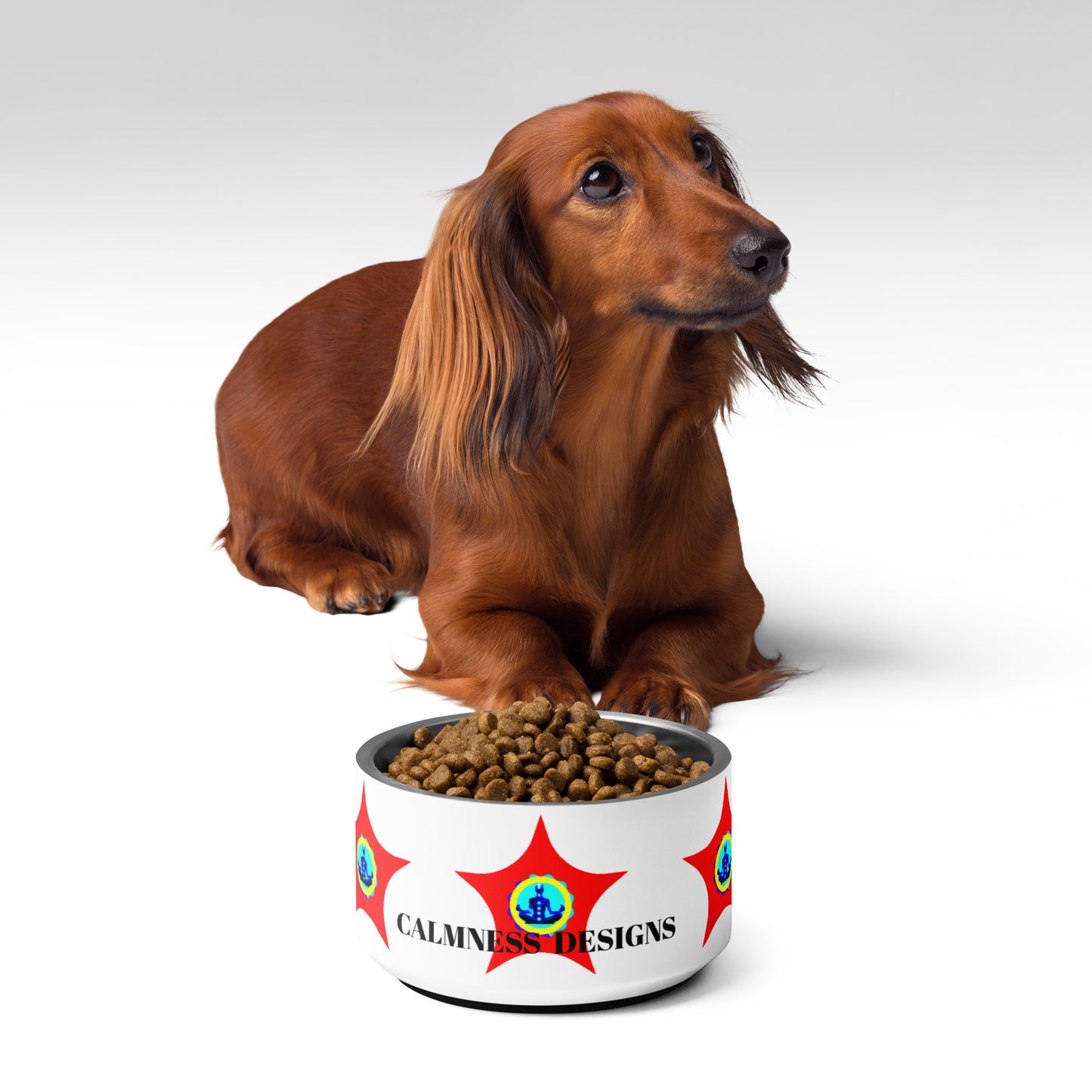 STAR-Logo CALMNESS DESIGNS, Creative Designs, Pet bowl