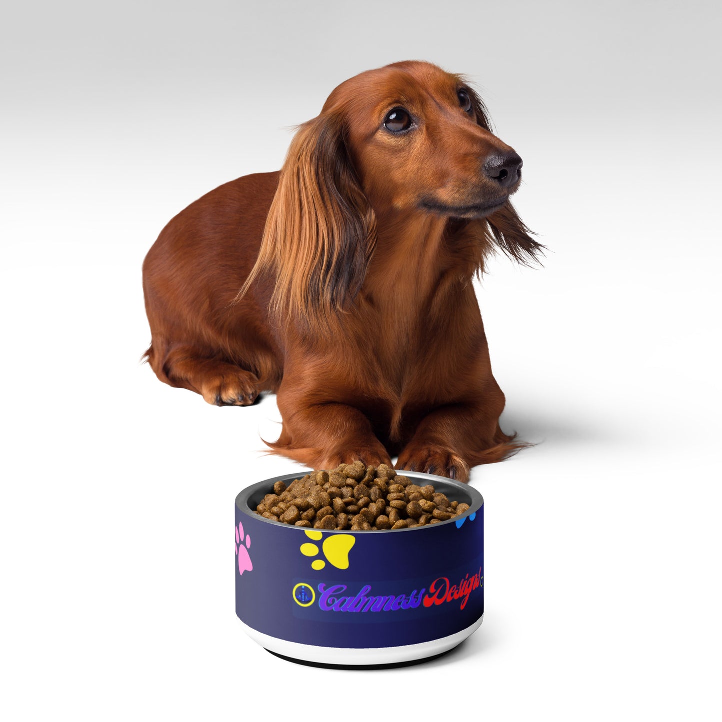 Pet Background, CALMNESS DESIGNS, Creative Designer's, Pet bowl