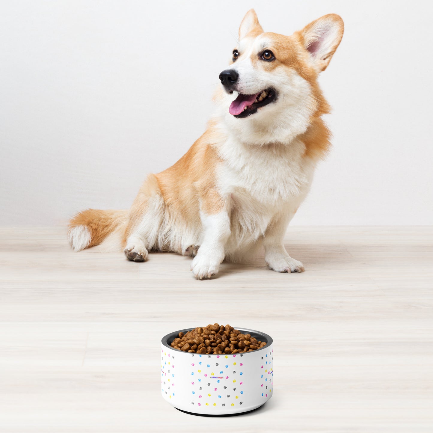 Pet Background, CALMNESS DESIGNS, Creative Designer's, Pet bowl