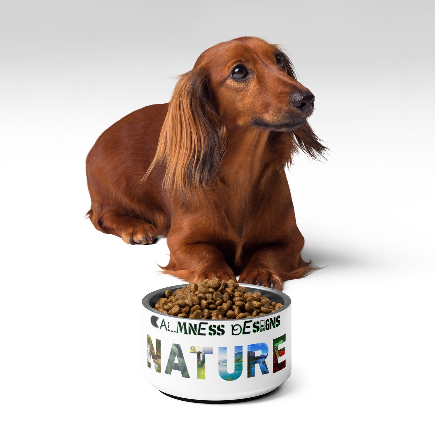 NATURE, Beautiful Scenery and Natural Scenery , Selective Focus, CALMNESS DESIGNS, Creative Designer's, Pet bowl