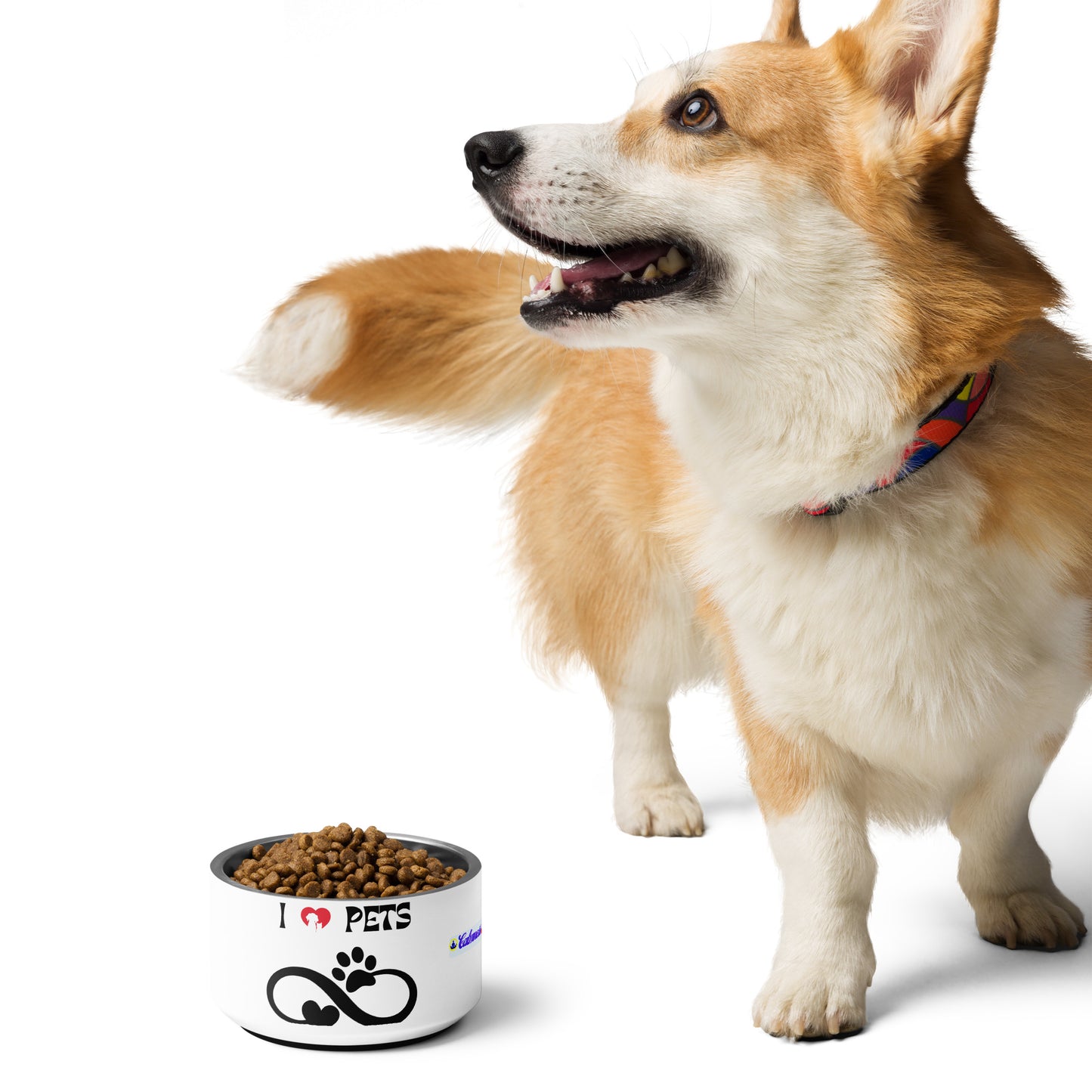 Heart and Pets, I LOVE PETS, CALMNESS DESIGNS, Creative Designer's, Pet bowl