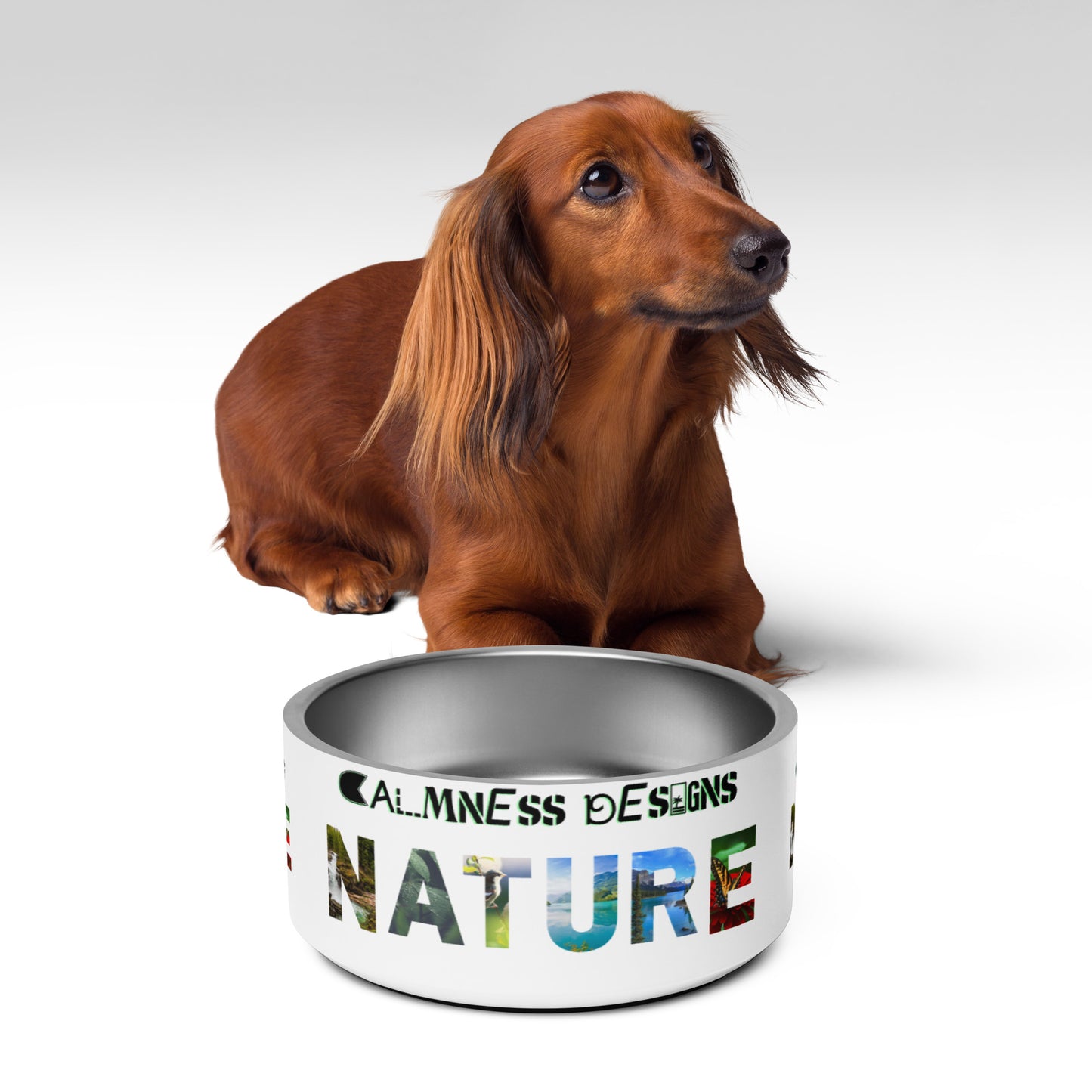 NATURE, Beautiful Scenery and Natural Scenery , Selective Focus, CALMNESS DESIGNS, Creative Designer's, Pet bowl