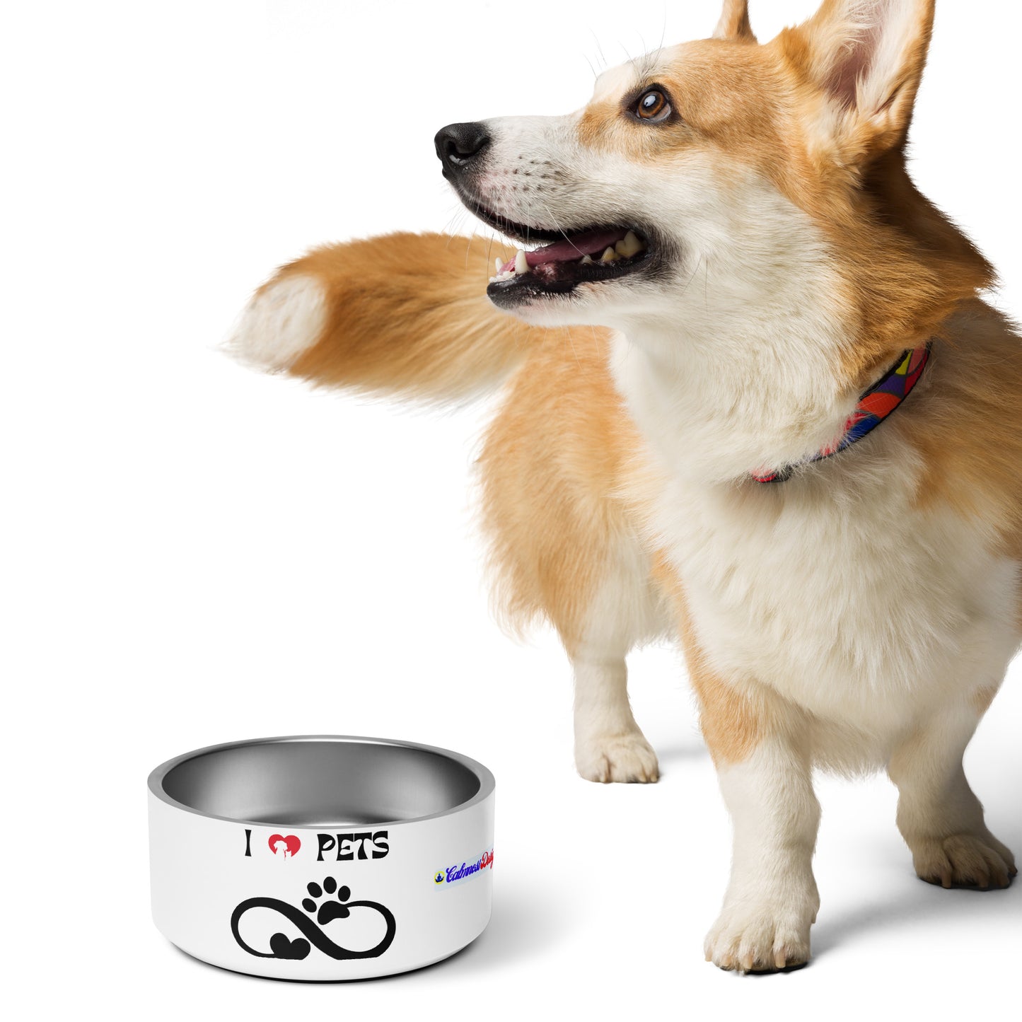 Heart and Pets, I LOVE PETS, CALMNESS DESIGNS, Creative Designer's, Pet bowl