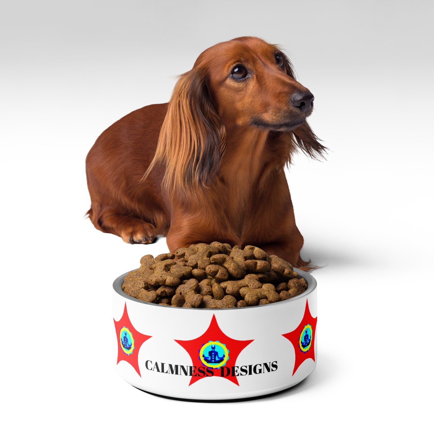 STAR-Logo CALMNESS DESIGNS, Creative Designs, Pet bowl