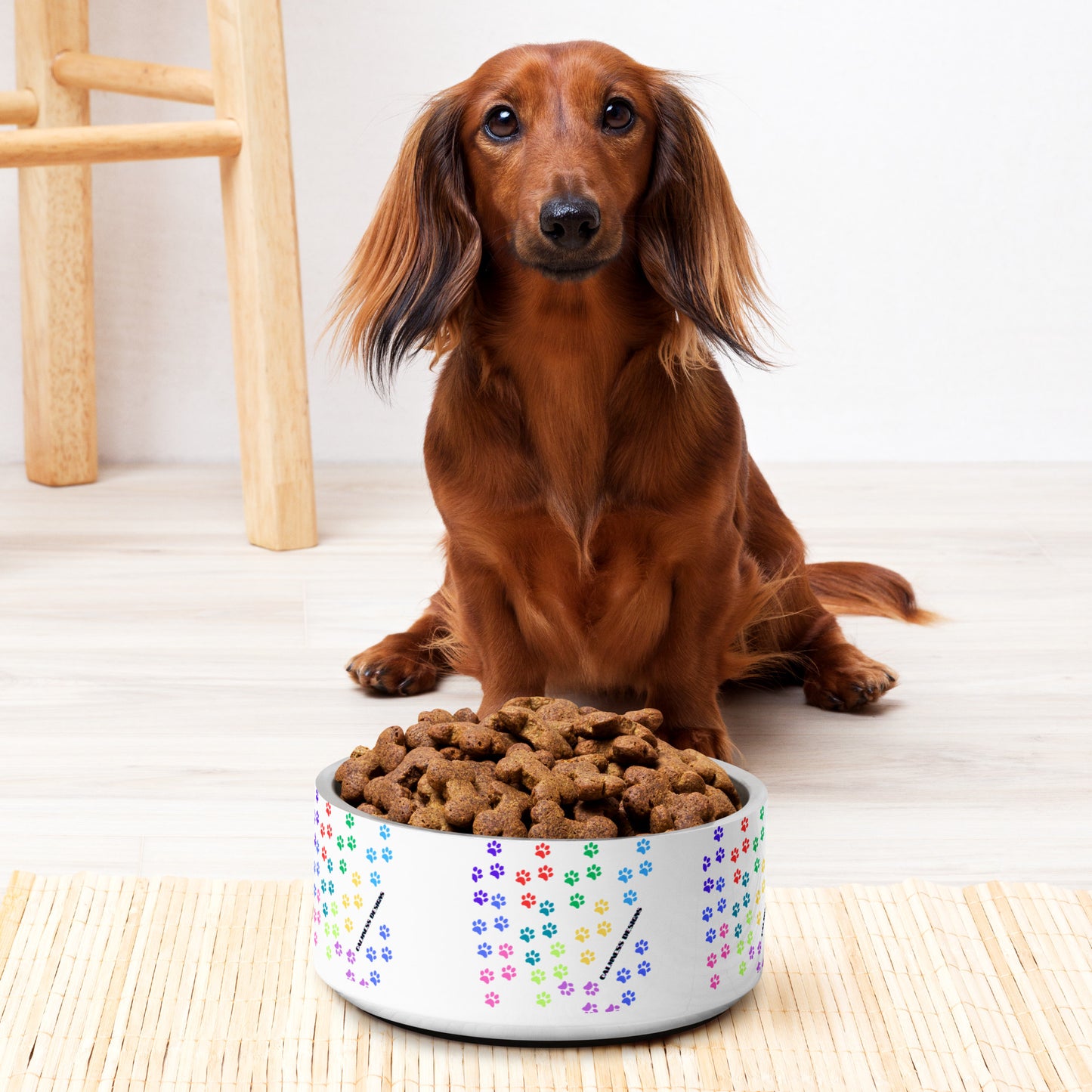 Doggie Paws, CALMNESS DESIGNS, Creative Designer's, Pet bowl