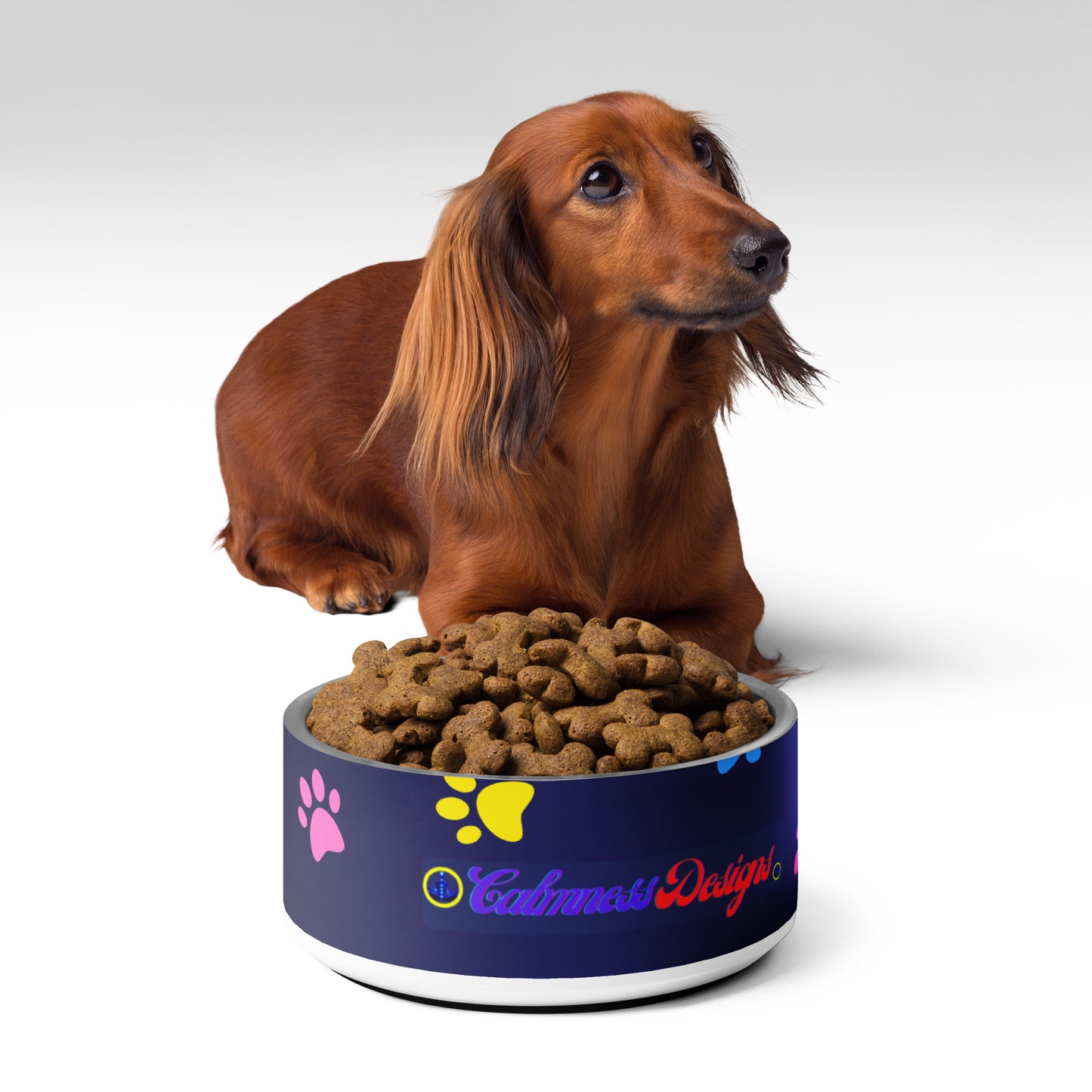 Pet Background, CALMNESS DESIGNS, Creative Designer's, Pet bowl