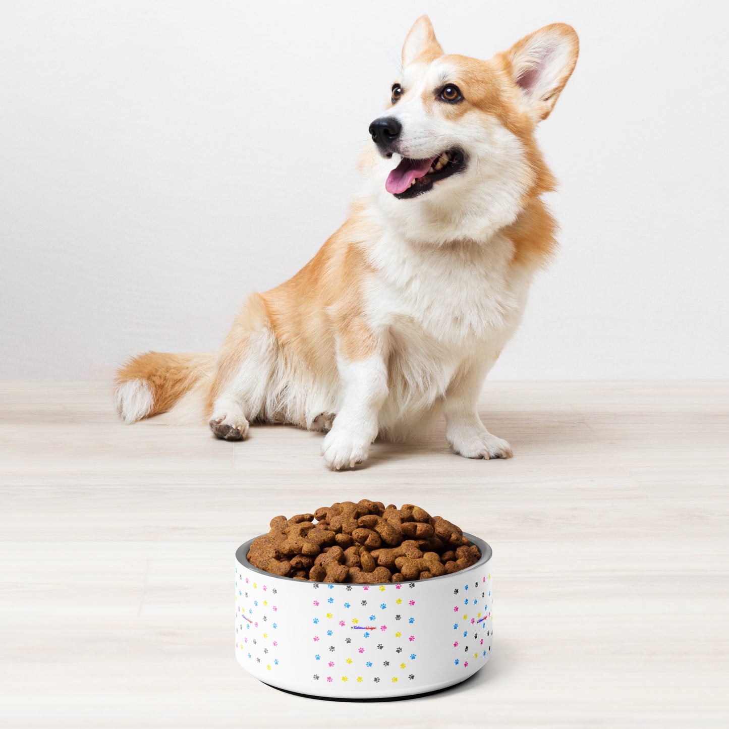 Pet Background, CALMNESS DESIGNS, Creative Designer's, Pet bowl