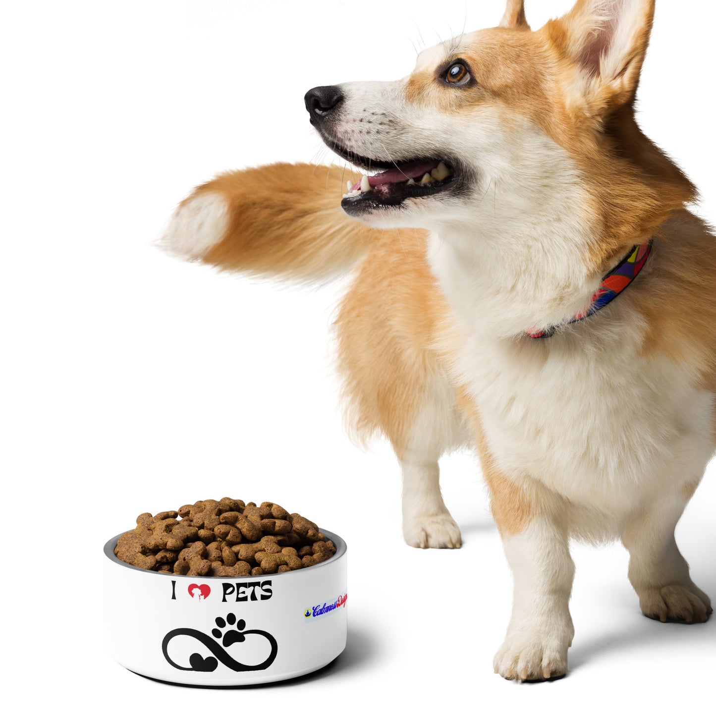 Heart and Pets, I LOVE PETS, CALMNESS DESIGNS, Creative Designer's, Pet bowl