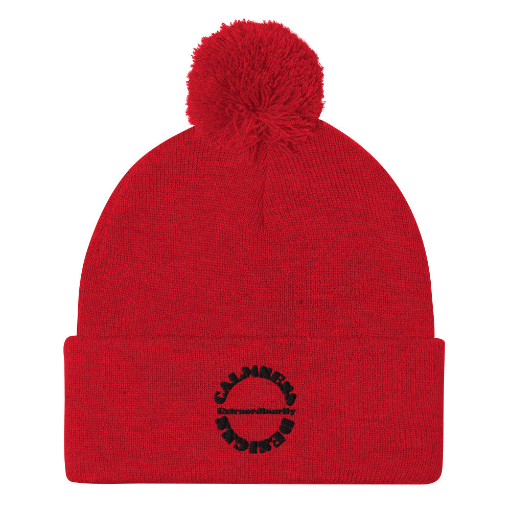 Extraordinarily, Calmness Designs, Creative Designs, Pom-Pom Beanie