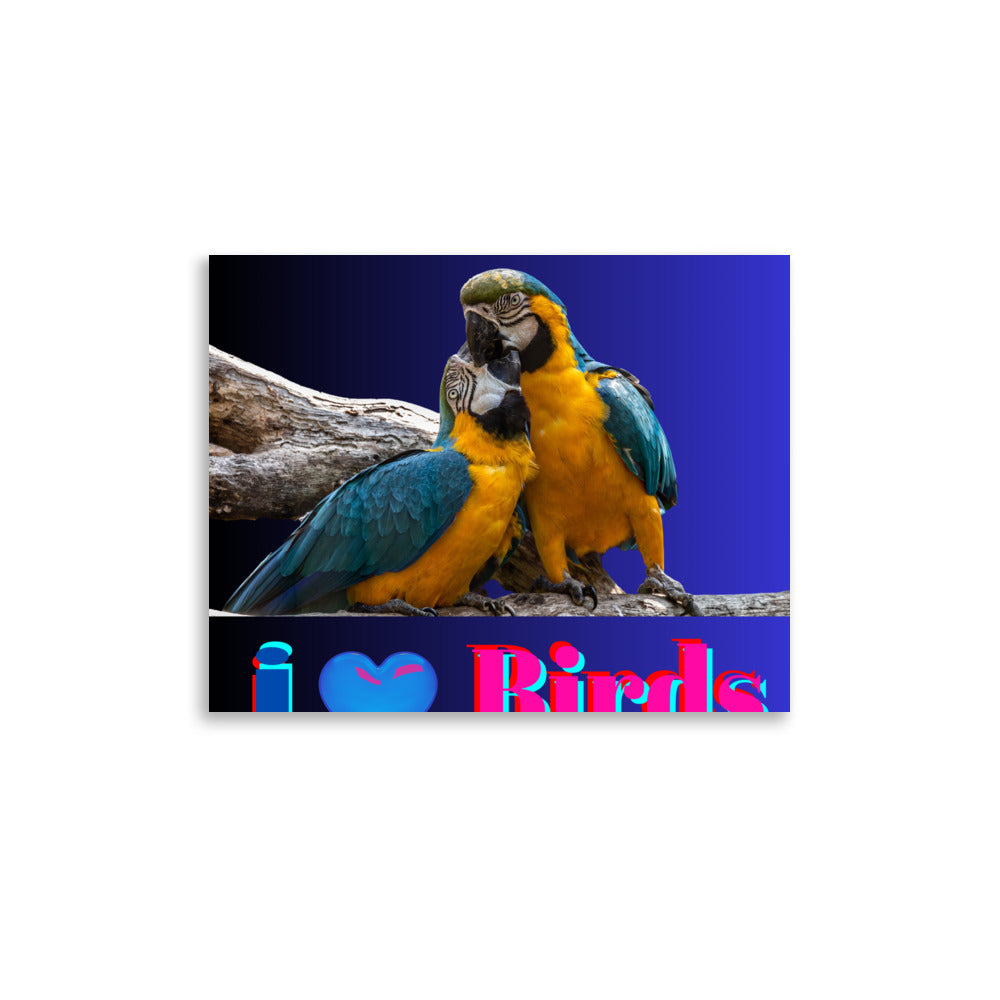 Calmness Calmness Designs, I Love Birds, Photo paper poster