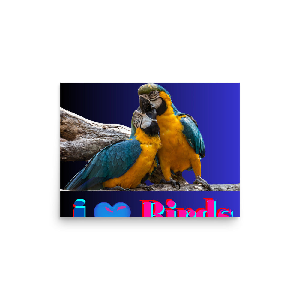 Calmness Calmness Designs, I Love Birds, Photo paper poster