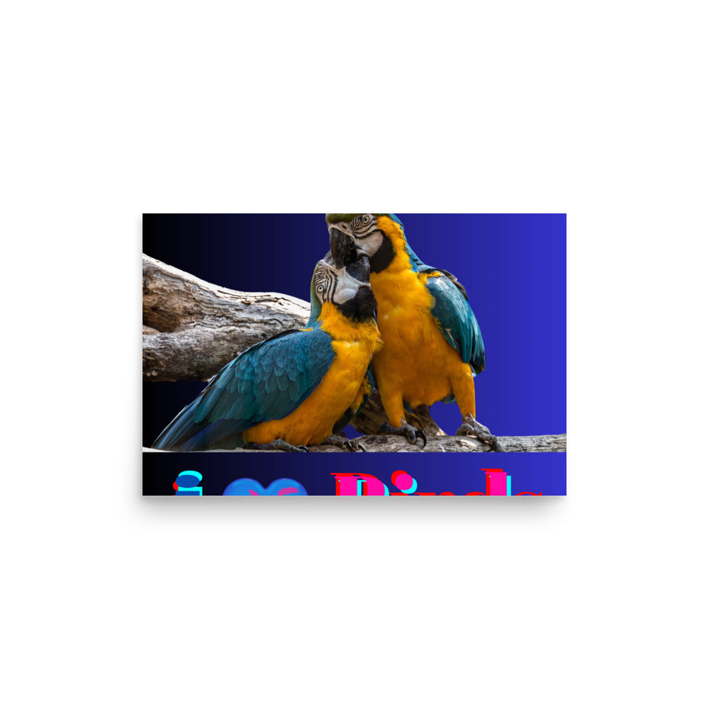 Calmness Calmness Designs, I Love Birds, Photo paper poster