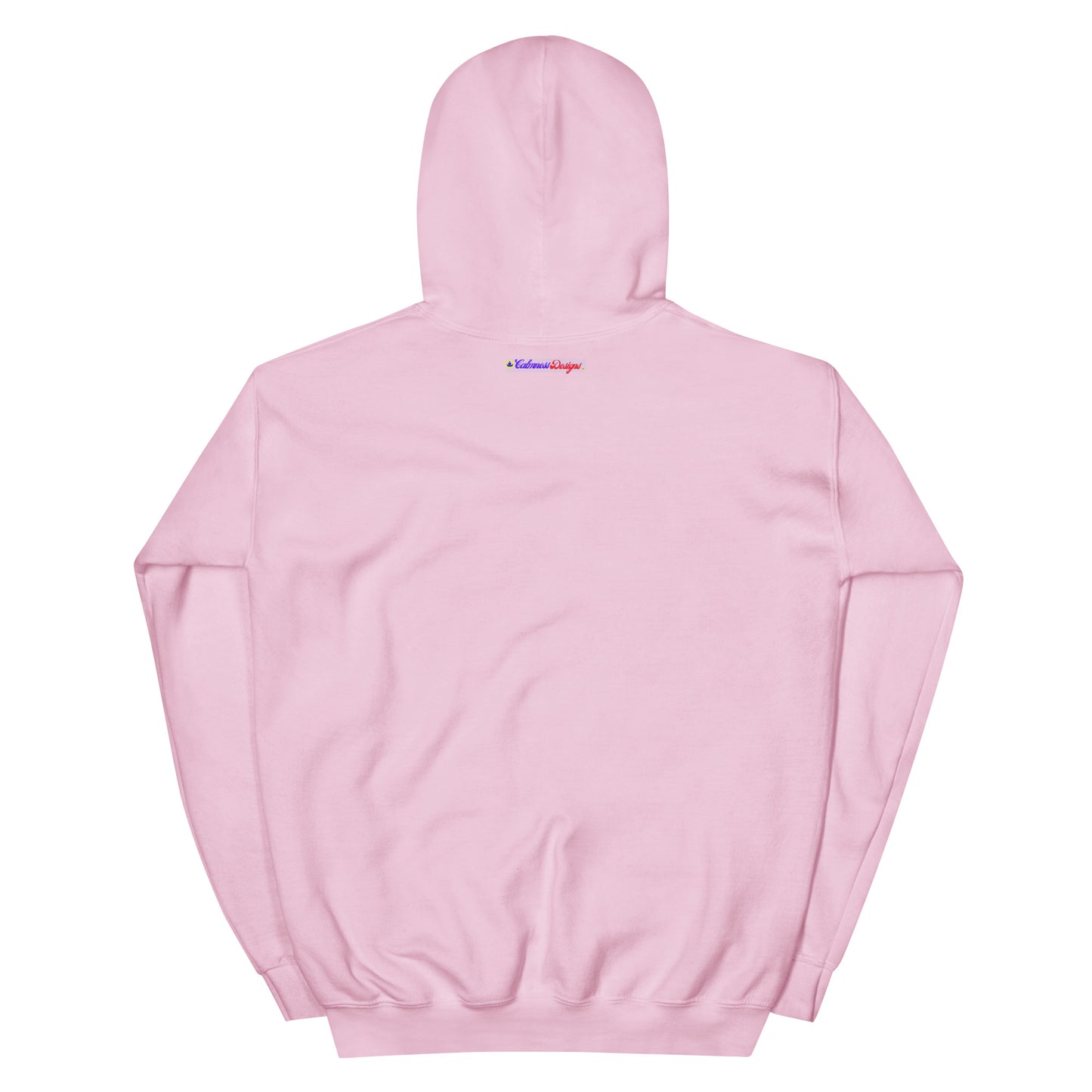 Birds of a Feather Stick Together, Flock of Birds Flying, Calmness Designs, Unisex Hoodie