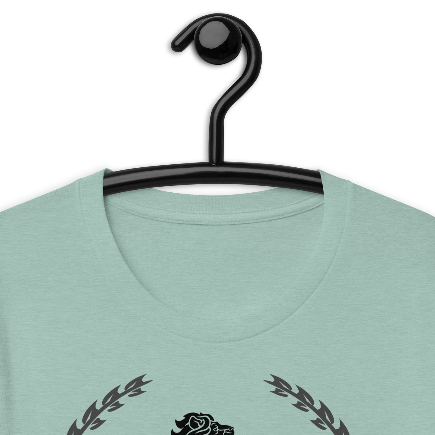 Coats of Arms, (C D), Lions Crest Shield, Stars, Calmness Designs, Unisex t-shirt