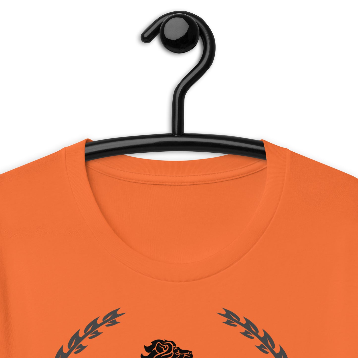Coats of Arms, (C D), Lions Crest Shield, Stars, Calmness Designs, Unisex t-shirt
