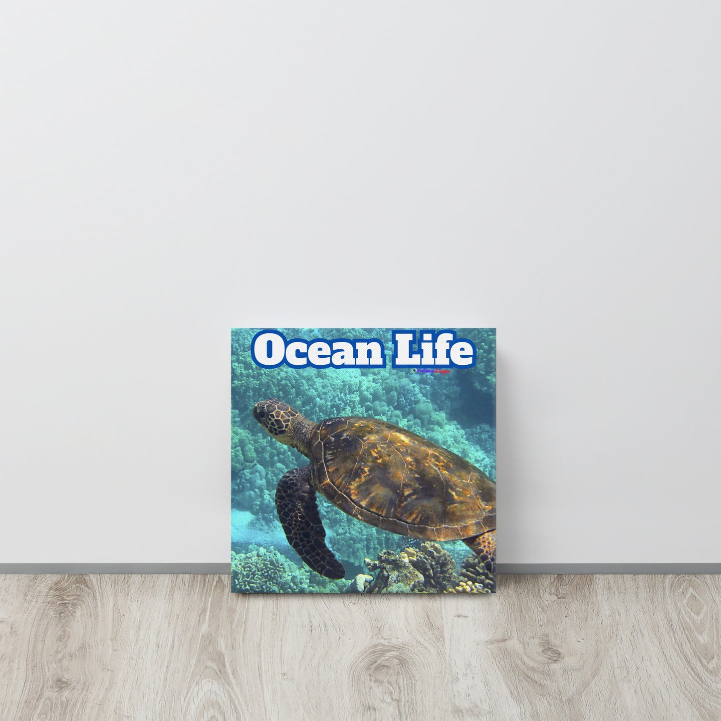 Turtle in Ocean, Life, Canvas