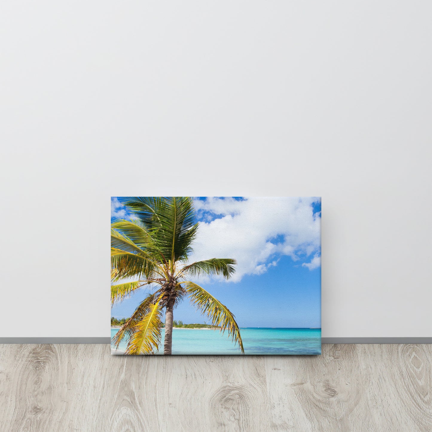 Beautiful Caribbean Beach, Canvas
