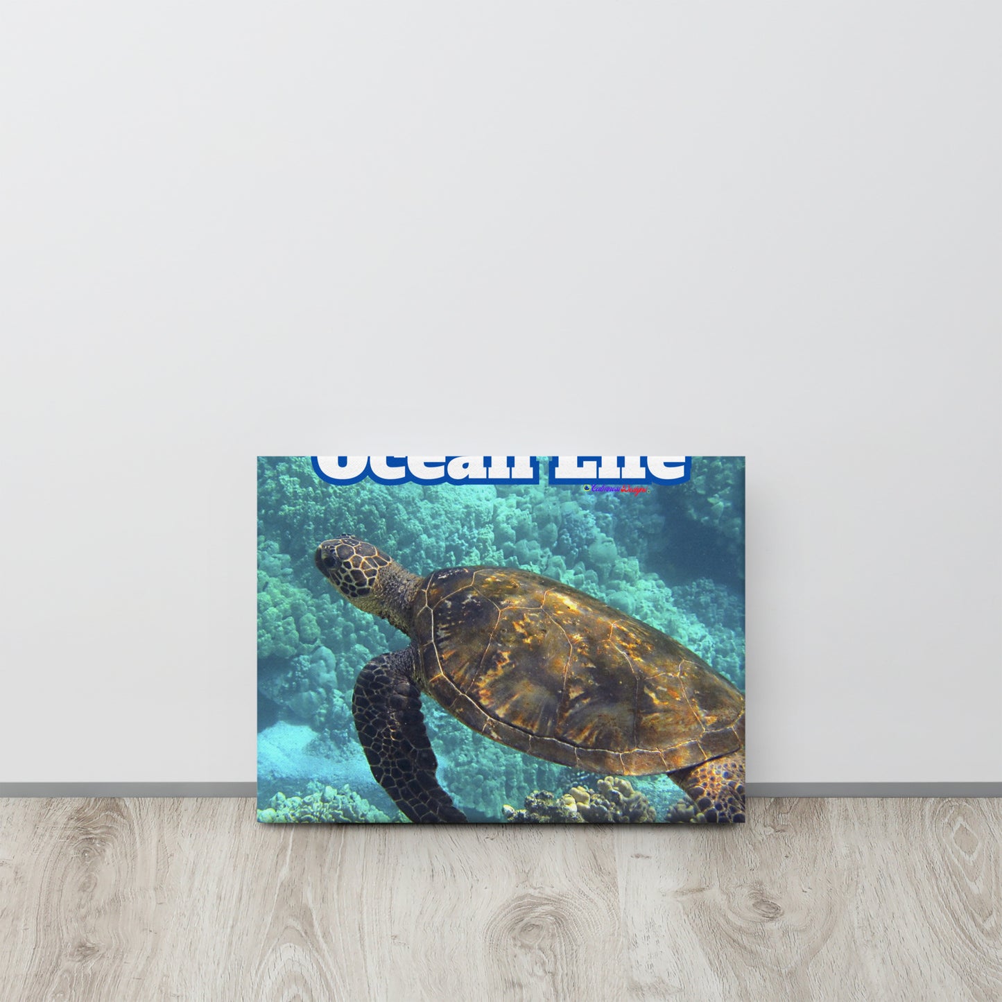 Turtle in Ocean, Life, Canvas
