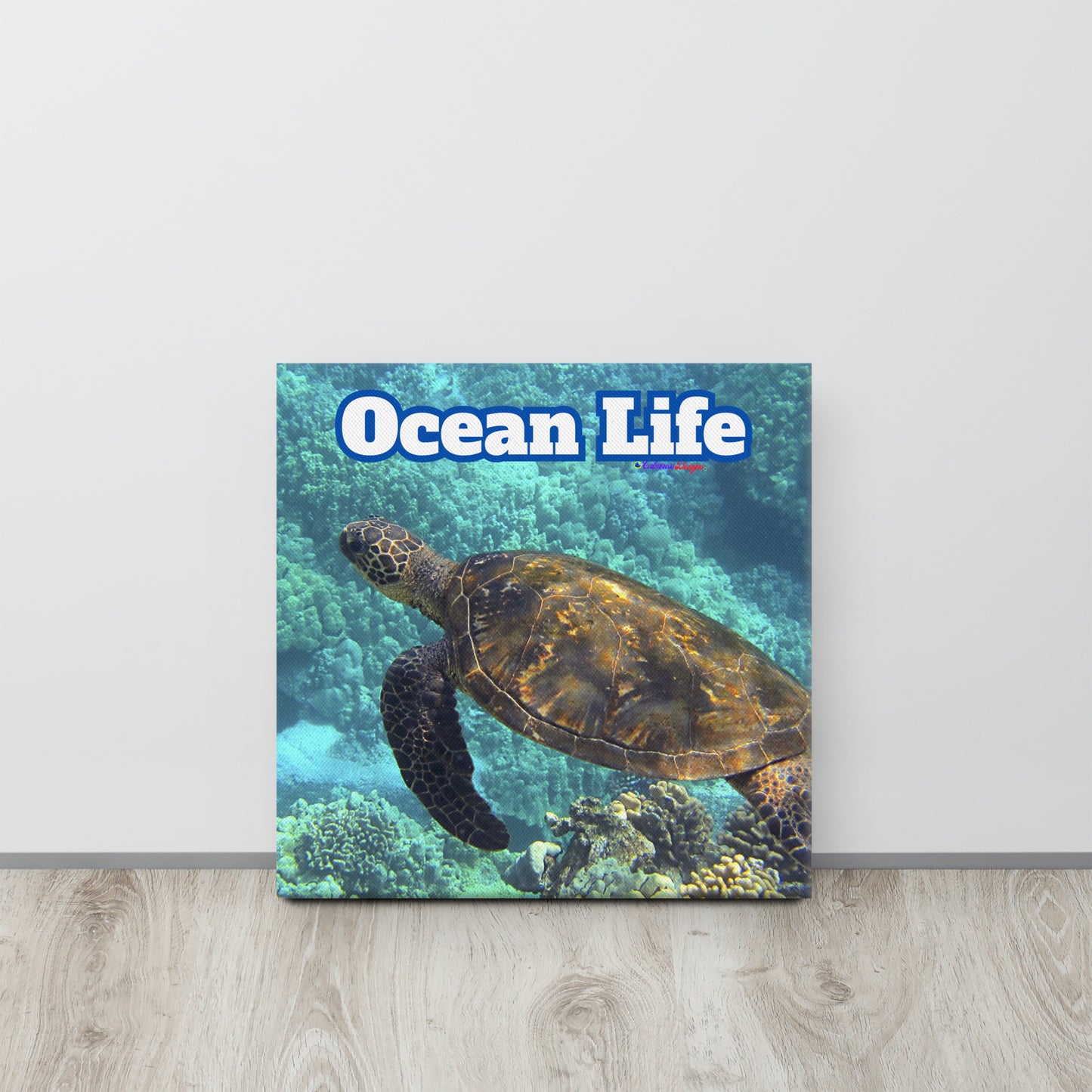 Turtle in Ocean, Life, Canvas