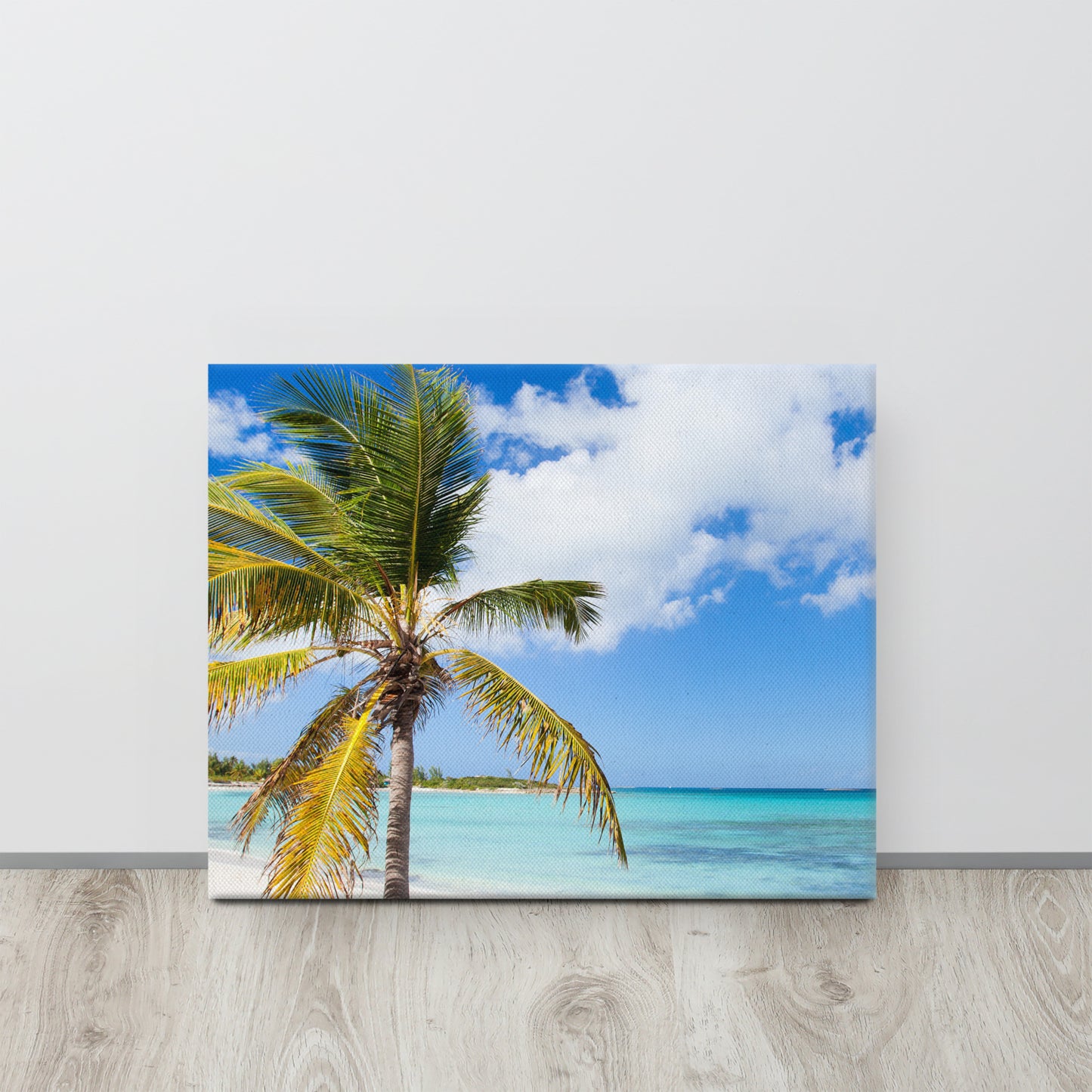 Beautiful Caribbean Beach, Canvas