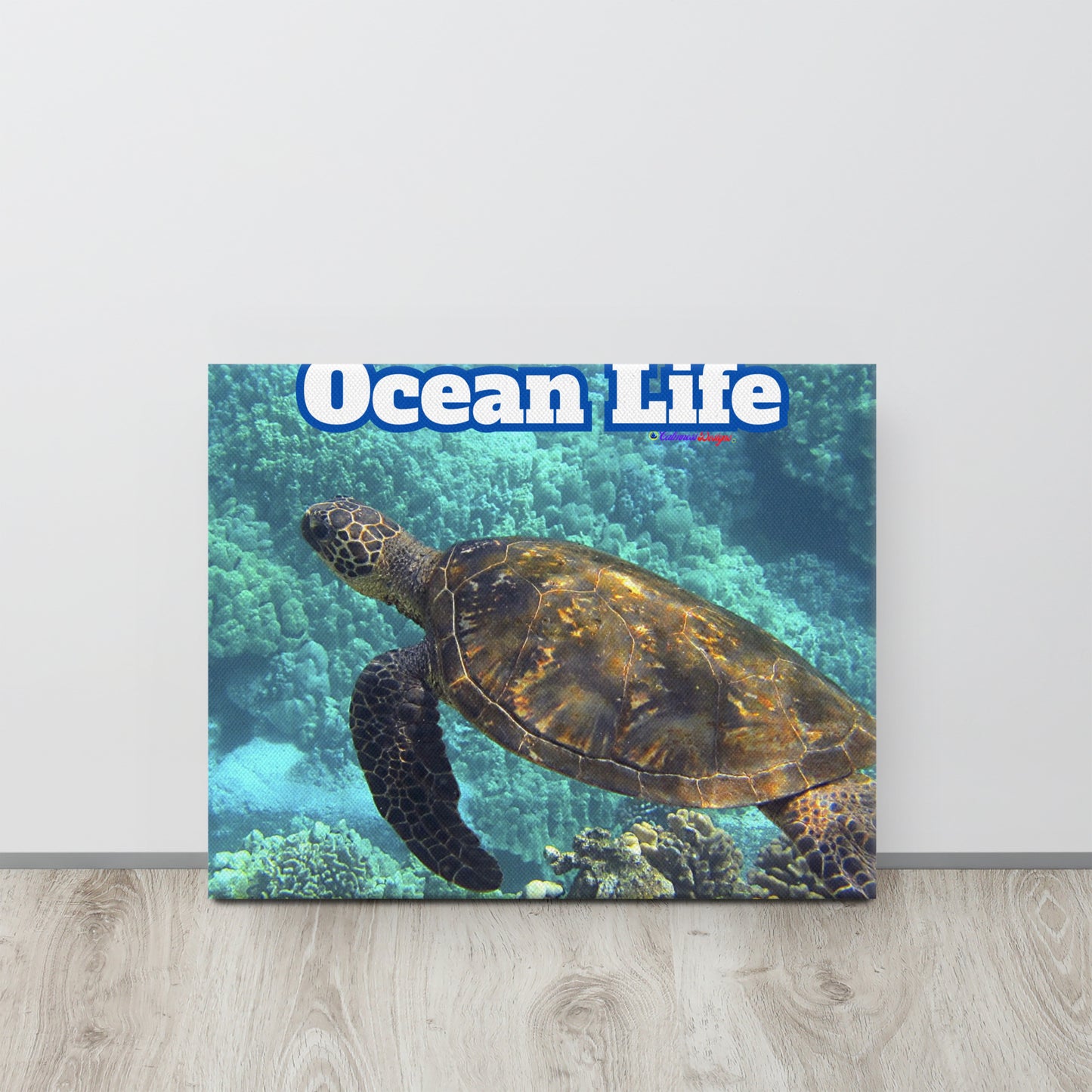 Turtle in Ocean, Life, Canvas