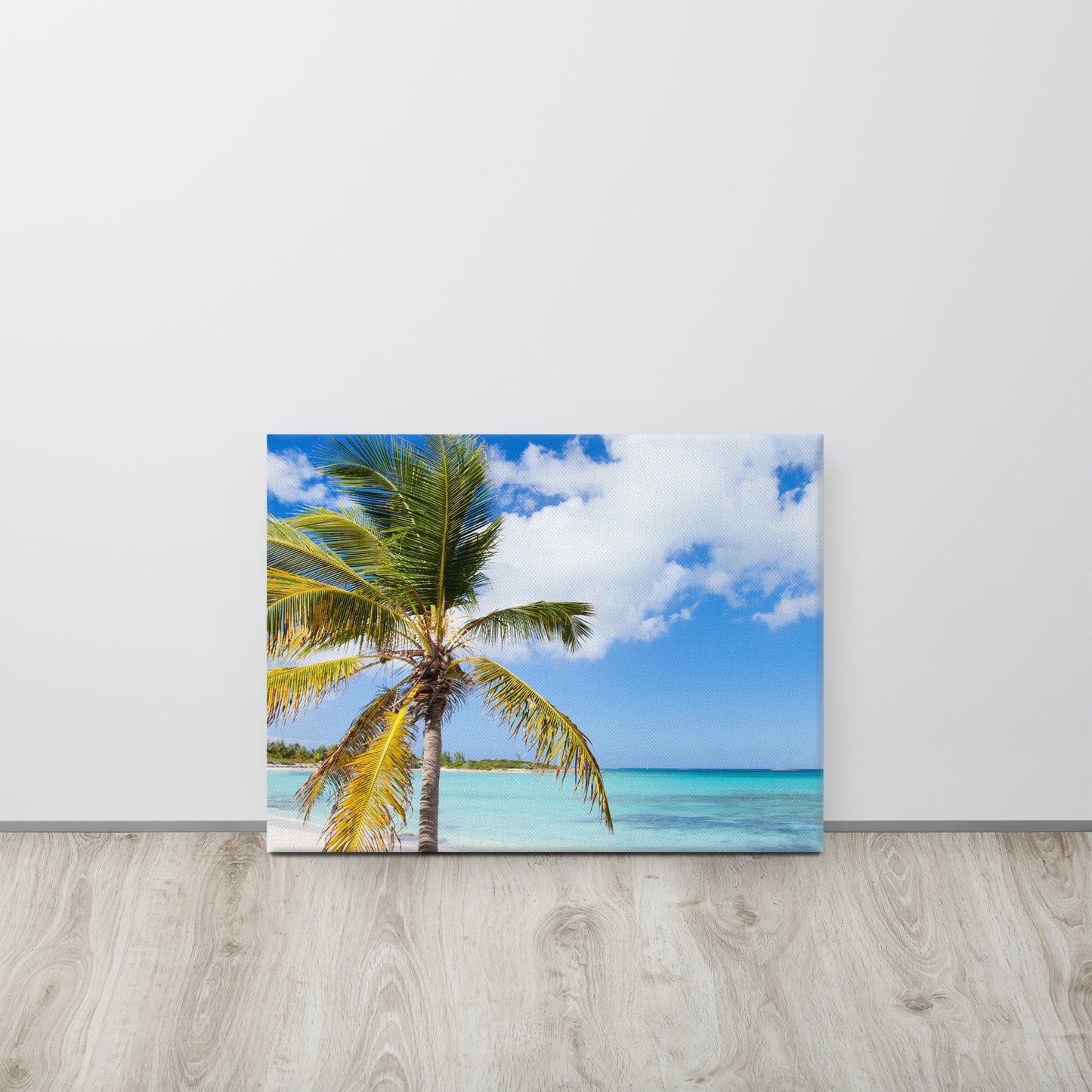 Beautiful Caribbean Beach, Canvas