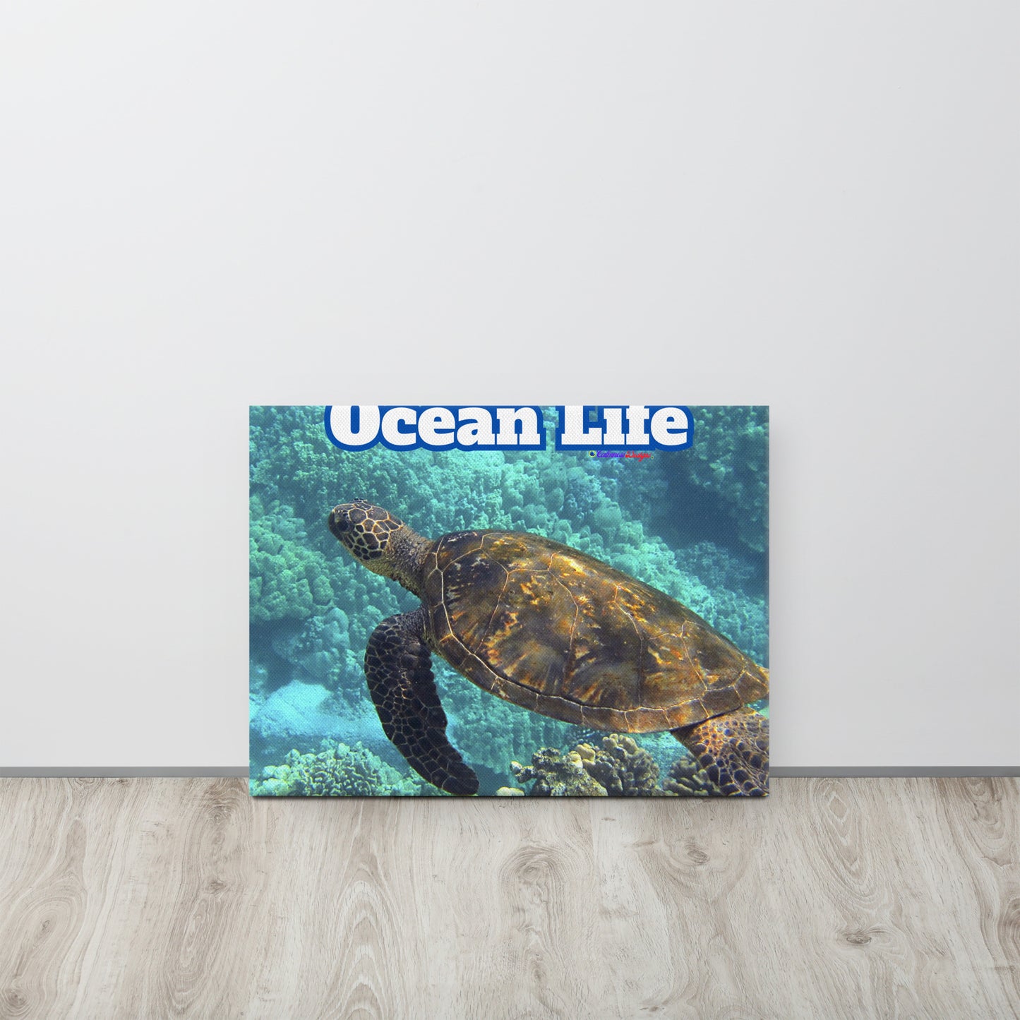 Turtle in Ocean, Life, Canvas