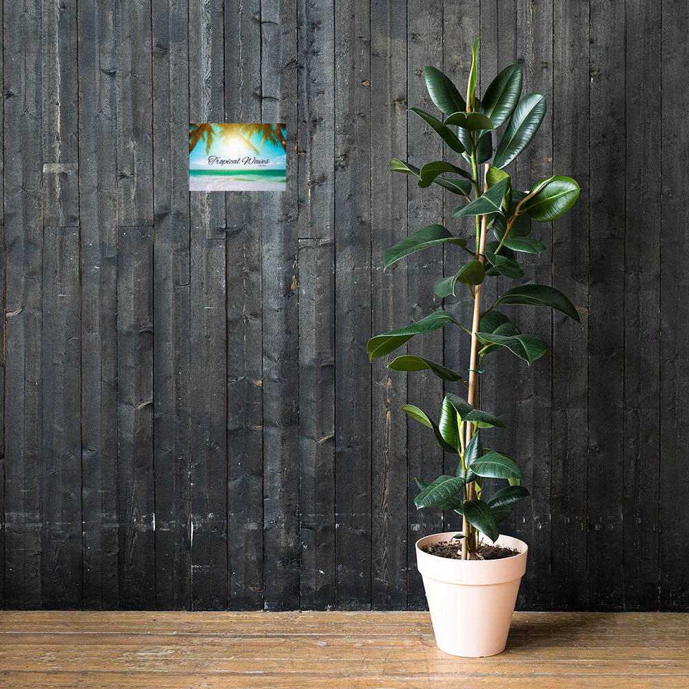 Tropical Waves, Poster