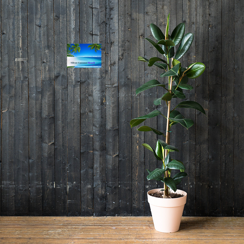 Silent Coconut Beach, Poster