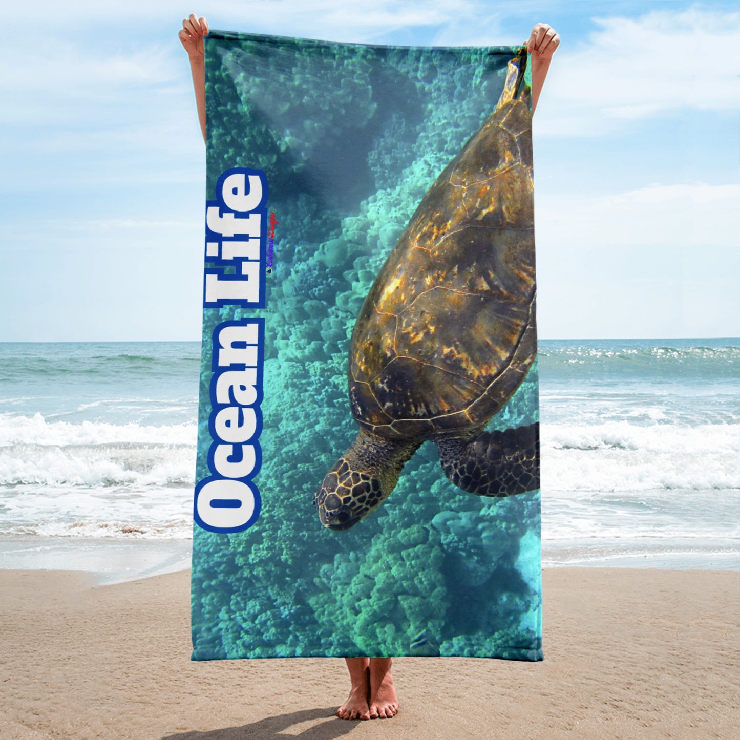 Turtle in Ocean, Life, Towel