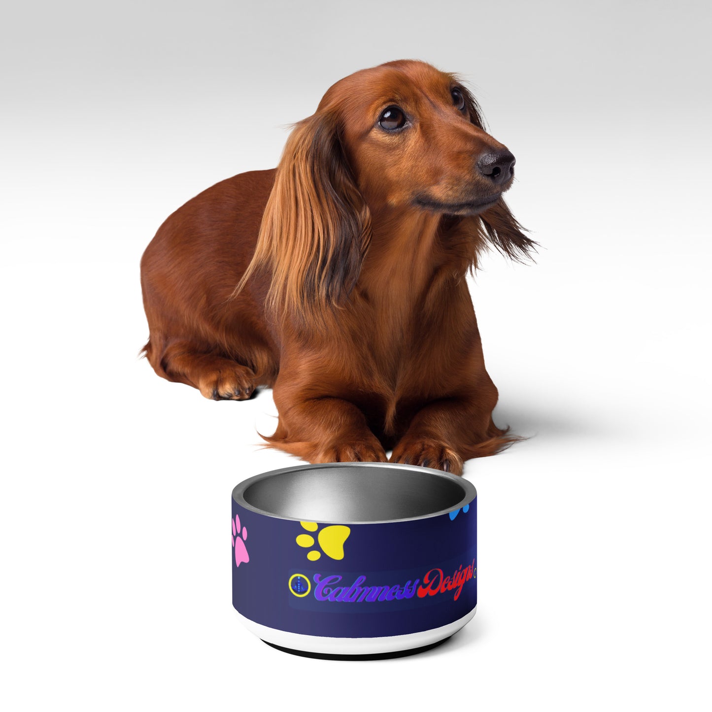 Pet Background,  CALMNESS DESIGNS,  Creative Designer's,  Pet bowl