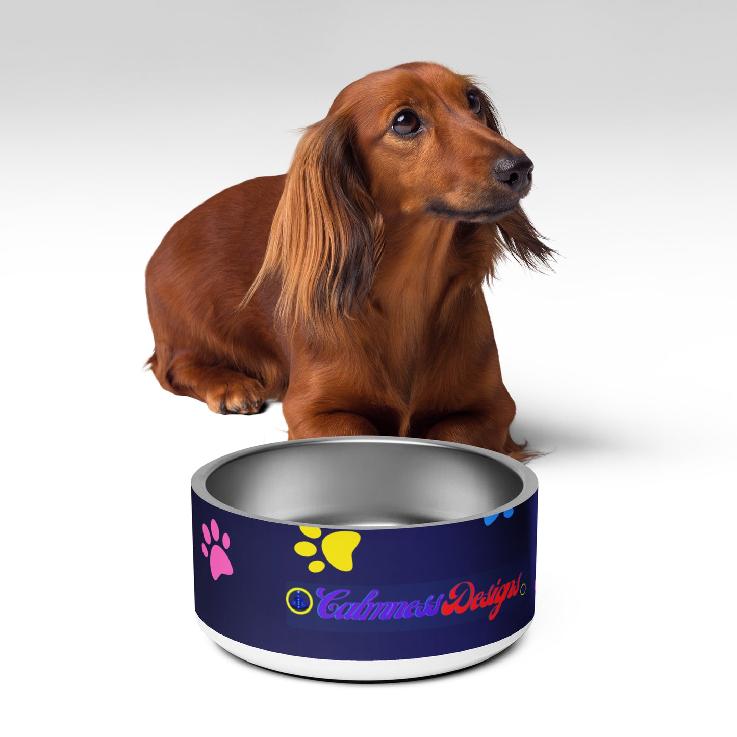 Pet Background,  CALMNESS DESIGNS,  Creative Designer's,  Pet bowl