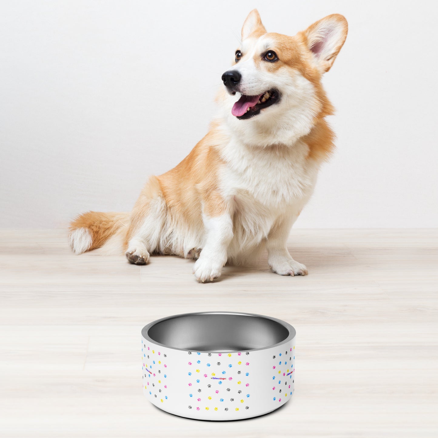 Pet Background,  CALMNESS DESIGNS,  Creative Designer's,  Pet bowl