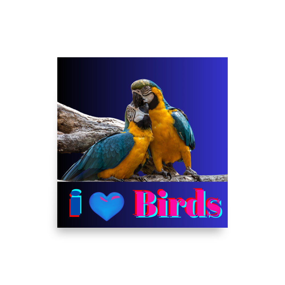 Calmness Calmness Designs, I Love Birds,  Photo paper poster