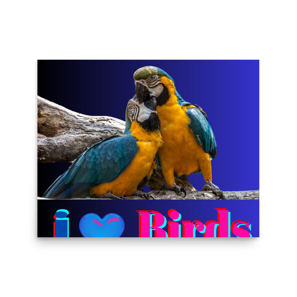 Calmness Calmness Designs, I Love Birds,  Photo paper poster