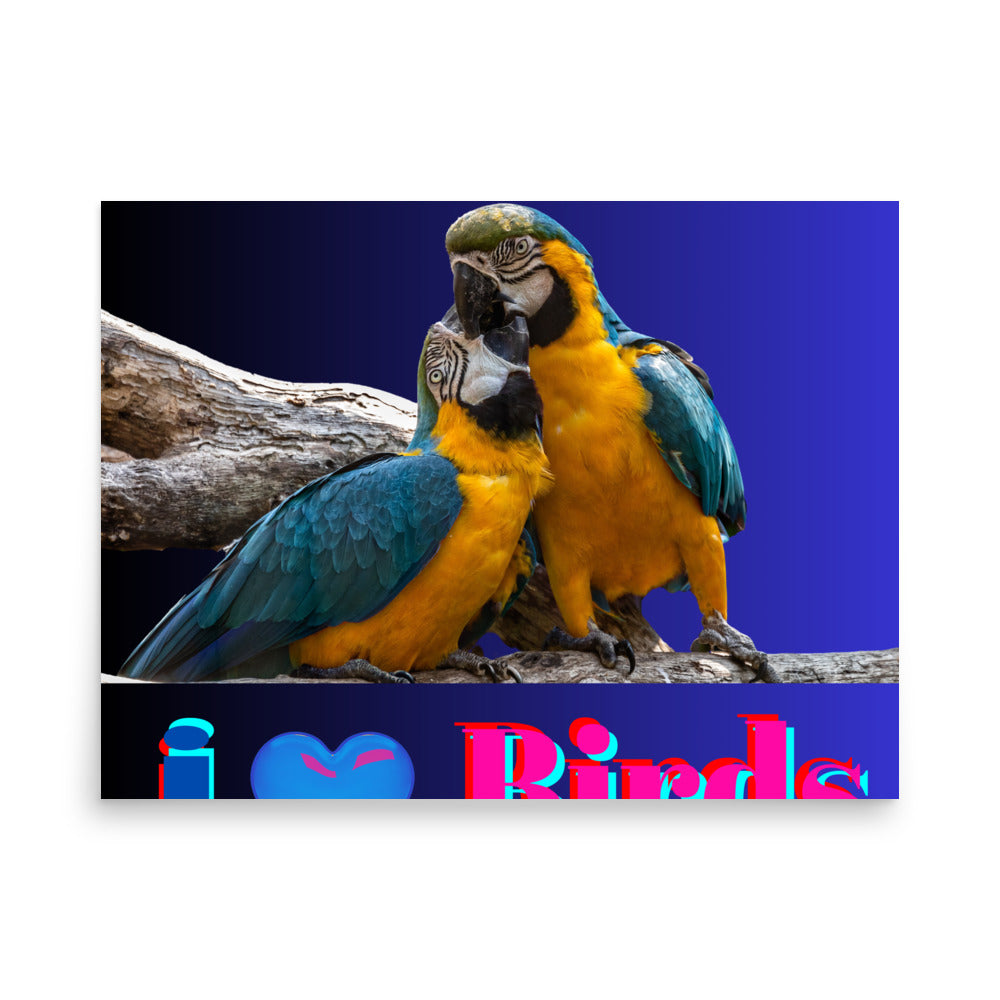 Calmness Calmness Designs, I Love Birds,  Photo paper poster