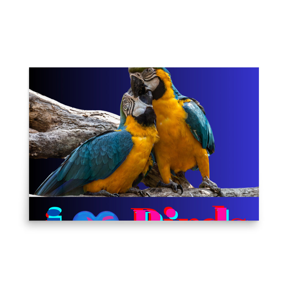 Calmness Calmness Designs, I Love Birds,  Photo paper poster