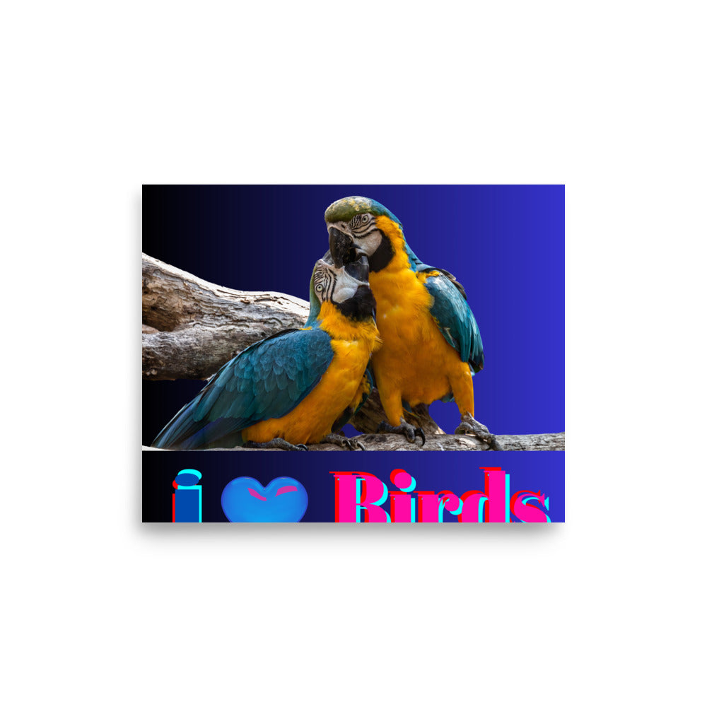 Calmness Calmness Designs, I Love Birds,  Photo paper poster