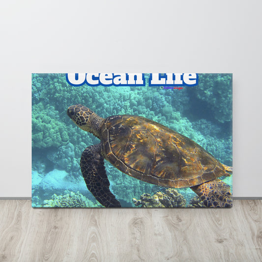 Turtle in Ocean, Life, Canvas